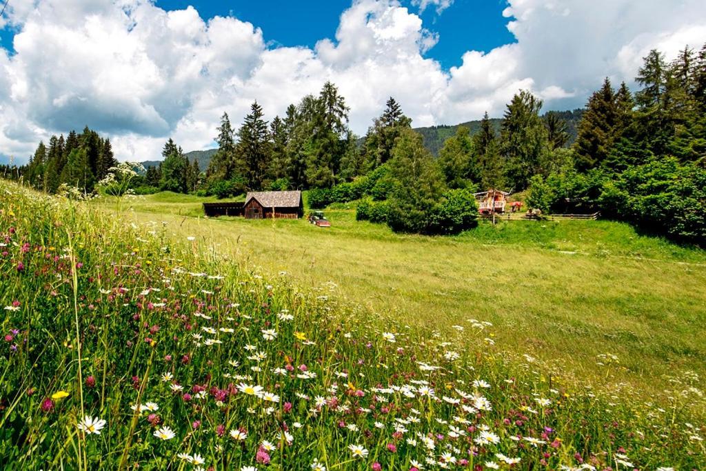 Gaestehaus Biobauernhof Mandl ムーラウ エクステリア 写真